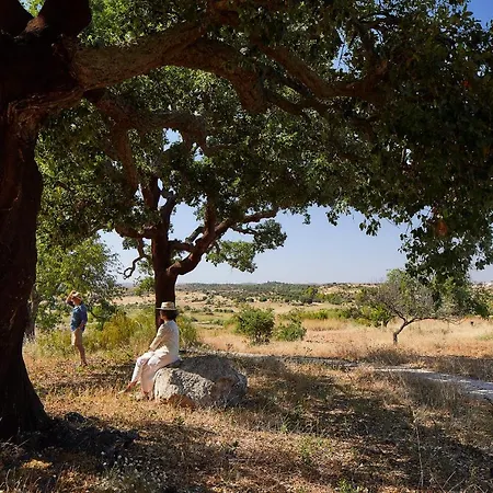 Companhia Culturas - Ecodesign &